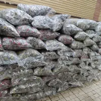 تشک و بالشت با کیفیت