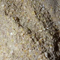 دان|حیوانات مزرعه|بیرجند, |دیوار