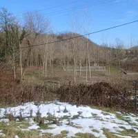 زمین-مسکونی-570-متری-در-زاکله-بر