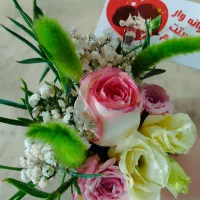 طلاپیداشده