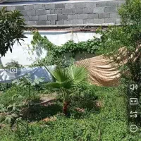 ۲۳۵مترزمین سنددار دور محصور مسکونی با قابلیت تجاری|فروش زمین و ملک کلنگی|رشت, چله خانه|دیوار