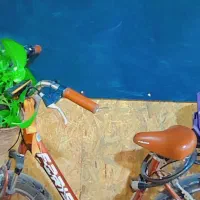 نیروی کار خانم