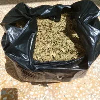 برگ حنا