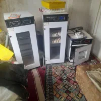 ۳عدستگاه جوجه کشی هدایت