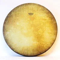 دف رمو|سازهای سنتی|ورزنه, |دیوار