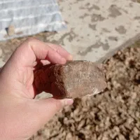 یک عدد سنگ عقیق معدنی|کلکسیون اشیاء عتیقه|دهدشت, |دیوار