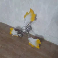 لوستر|لوستر و چراغ آویز|نیشابور, گنبد سبز|دیوار