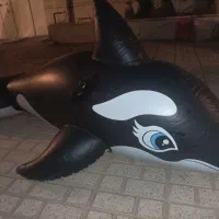 شناور بادی نهنگ بادی دو متری