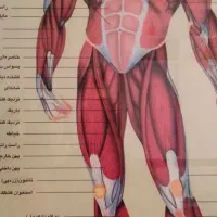 شرکت پرستاری