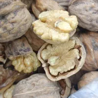 گردو روغنی خوشمزه