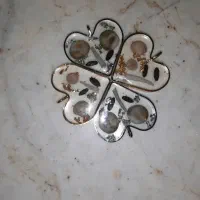 اصله اصل