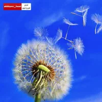 فروش جزوات کنکوری