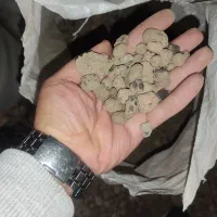 فروش انواع خاک و بستر گل و گیاه|گل و گیاه طبیعی|شیراز, گویم|دیوار