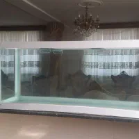 آکواریوم با قاب سفید|ماهی|ساری, |دیوار