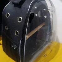 کوله پرنده