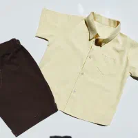 چرخ کار ماهر