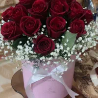 فرم بده، برجسته کن، بدرخش