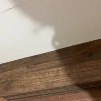 پارکت