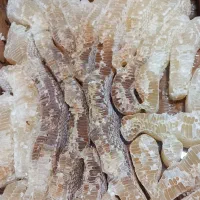 یکنفر ویزیتور