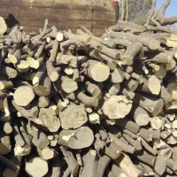 چوب|خدمات باغبانی و درختکاری|جیرفت, |دیوار