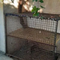 قفس آهنی حیوانات
