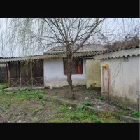 زمین-1500متری-در-علی-آبادکپورچال