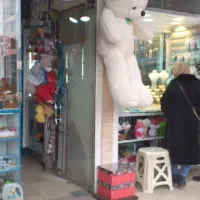 همکارخانم دربدلیجات وکادویی