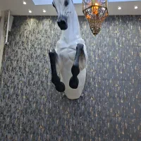 استخدام سالندار خانم عرب زبان