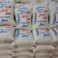 برنج طارم گرگان