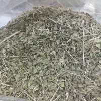 آویشن شیرازی تازه و معطر (درجه یک)