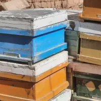 فروش کندو زنبور عسل در حد نو رنگ شده