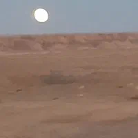 مدارک گم شده