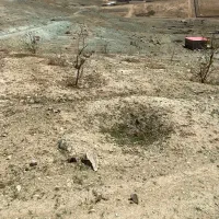 زمین-228متری-باغشاد-باغ-بهادران