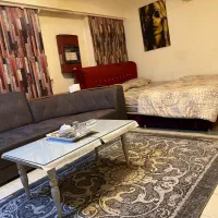 سوییت-اقتصادی
