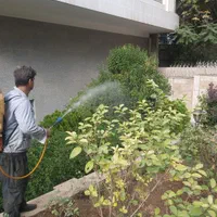 باغبانی سم پاشی گل کاری هرس کاری سمپاشی سوسک،شته|خدمات باغبانی و درختکاری|تهران, نیاوران|دیوار