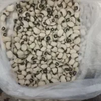 لوبیا چشم بلبلی