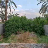 ویلایی لب مفتح ،شیخها،  (تجاری )