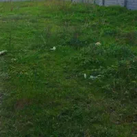 500-متر-طحانی-کتالم-سند-شش-دانگ