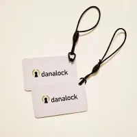 کارت تگ دستگیره هوشمند (دو عدد)