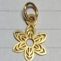 پلاک طلا ستاره نو نو