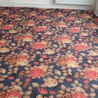 موکت|موکت|الشتر, |دیوار