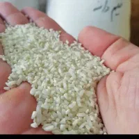 برنج نیمدانه محلی لیزر شده درشت بدون آشغال بروجرد