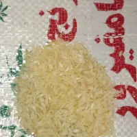 برنج کامفیروزی|خوردنی و آشامیدنی|شیراز, گویم|دیوار