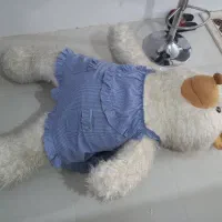 خرس|اسباب‌‌بازی|مشهد, باغون آباد|دیوار