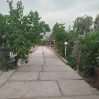 باغ شهری سیاخ دارنگان (فروش خیلی فوری)|فروش خانه و ویلا|سیاخ دارنگون, |دیوار