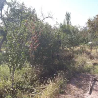 ویلا باغ ۳۰۰۰متری