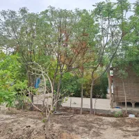 باغچه ۸۰۰ متری واقع در کهریزک، روستای سلمان آباد|فروش دفتر صنعتی، کشاورزی، تجاری|کهریزک, |دیوار