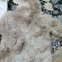 لباس|لباس|تربتحیدریه, طالقانی|دیوار