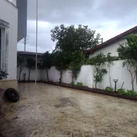 علفتراشی هرس برش چوب وغیره|خدمات باغبانی و درختکاری|عباس‌آباد, |دیوار