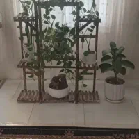 پایه گل